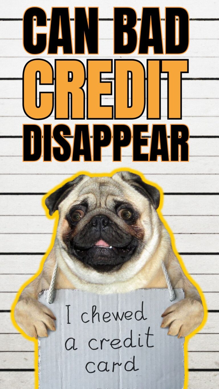 portrait thumbnail with a PUG mug shot with a sign that says "i crewed a credit card" the title of the thumbnail is CAN BAD CREDIT DISAPPEAR.