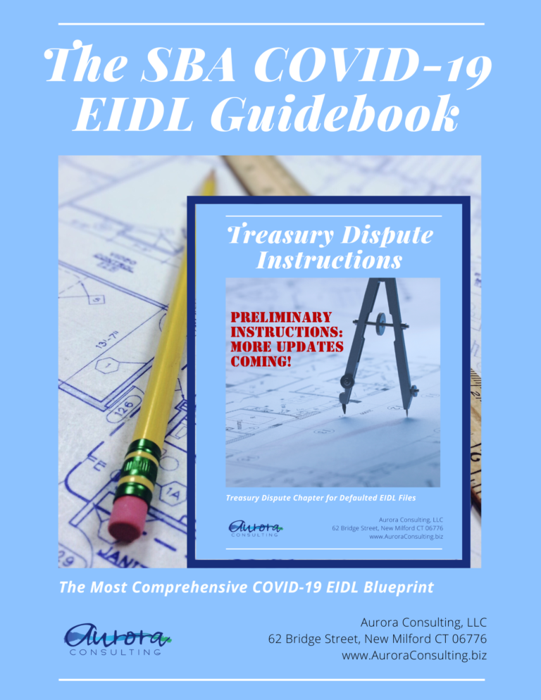 COVER PAGE of our SBA COVID-19 EIDL GUIDEBOOK INCLUDING a mini cover page of our Treasury Dispute cover page